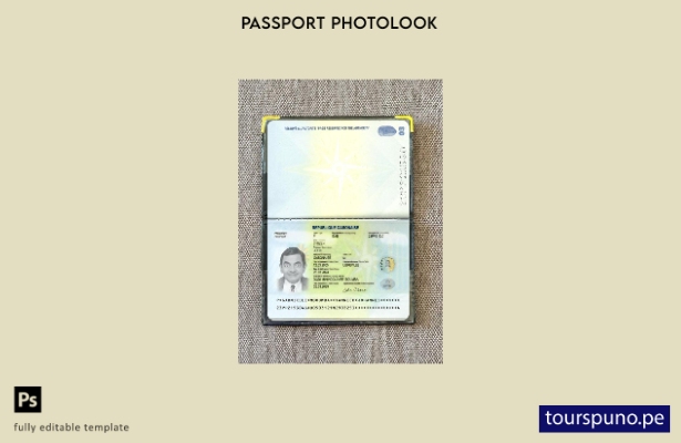 Plantilla de aspecto fotográfico para pasaporte gabonesa lista para imprimir